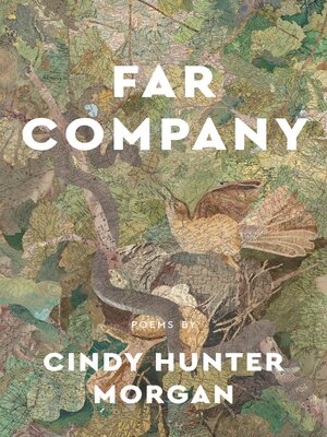 cover image of Far Company